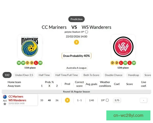 中央海岸逆转西悉尼流浪者双星