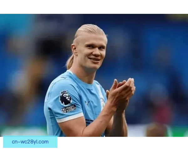 VAR认定哈兰德拉扯不可忽略 VAR认定哈兰德拉扯不可忽略